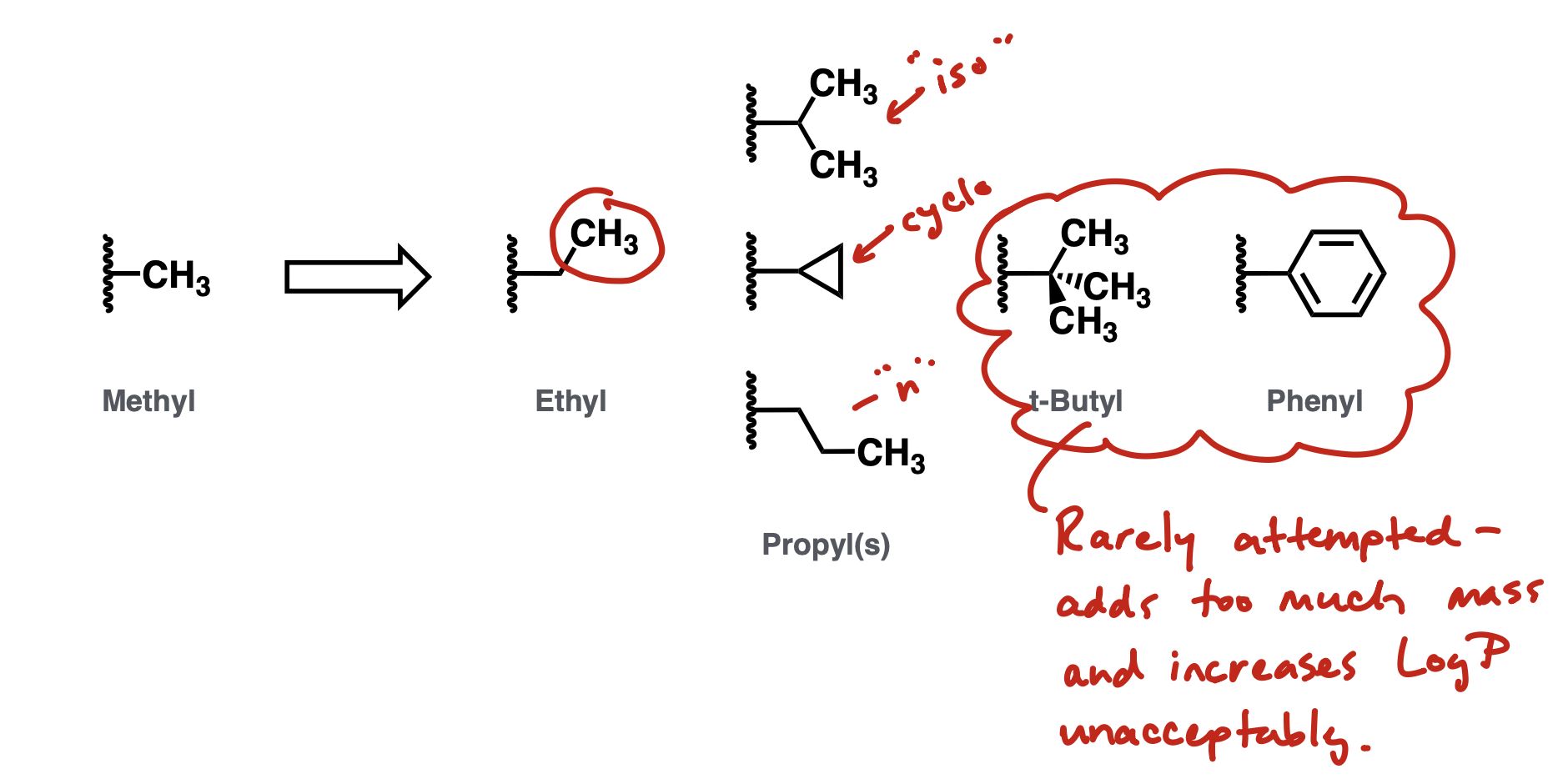 <p>cyclopropyl is especially interesting bc it investigates with minimal increase in logP and no Nrot</p>