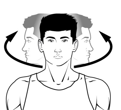 <p>name the muscle action</p>