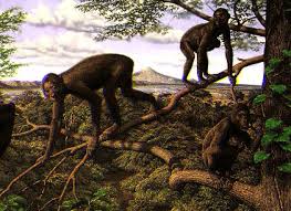 <p><span>Primates evolved traits like grasping hands, forward-facing eyes, and flexible limbs because they adapted to living in trees. These features helped them climb and move along branches.</span></p>