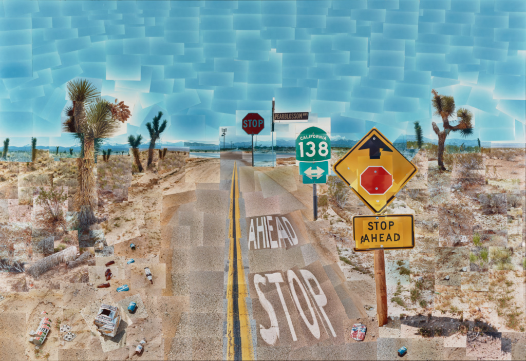 <p>David Hockney</p>