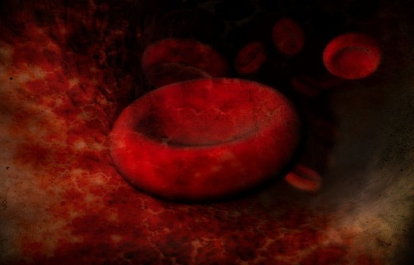 <p>An oxygen-carrying protein found in red blood cells</p>