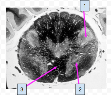 <p>1</p>