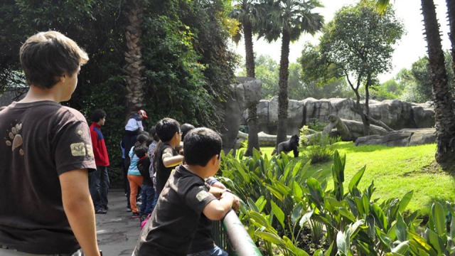 <p>zoo</p>