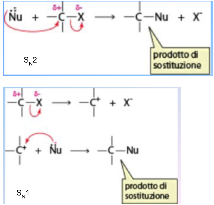 <ol><li><p>S<sub>N</sub>1 → meccanismo in due stadi, monomolecolare (velocità dipende da una sola molecola (è coinvolta</p><p>una sola molecola nello stadio lento)). Stadi:</p><ol><li><p>Rottura eterolitica (i due elettroni condivisi vengono trattenuti interamente da uno solo dei due atomi) del legame originale e formazione di un carbocatione. Pasaggio lento (determina valocità)</p></li><li><p>Conseguente attaco del nucleofilo</p></li></ol></li><li><p>S<sub>N</sub>2 → meccanismo in uno stadio, biomolecolare. Stadi:</p><ol><li><p>Meccanismo sincrono di formazione del legame C-Nucelofilo e rottura legame originale - sia il nucleofilo che il substrato partecipano alla</p><p>formazione della stato di transizione, e nello stato di transizione il carbonio è pentacoordinato: forma 3 legami</p><p>completi e 2 legami parziali (intermedio di reazione). Il nucleofilo si attacca dalla parte opposta al gruppo uscente a causa dell’ingombro dell’alogeno, dunque su inverte la configurazione e forma solo un eneantiomero (si nota solo quando il C legato al gruppo sucente è chirale).</p></li></ol></li></ol><p></p>