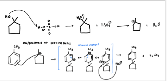 <p>same procedure of protonating hydroxyl, water leaving, nucleophilic attack on most stable carbocation, resonance, and elimination to restore aromaticity </p>