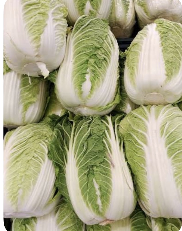 <p>Napa cabbage</p>