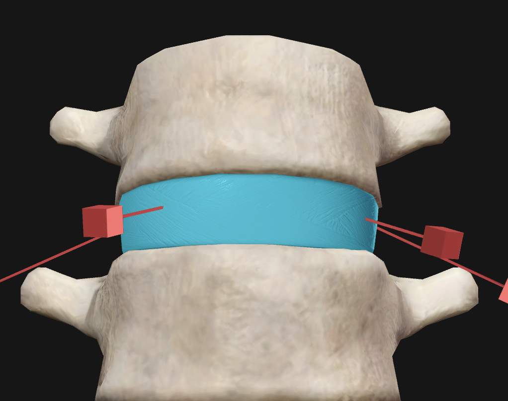 <p>What structure is shown?</p>