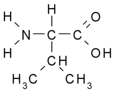 <p>(Val, V) Neutral-nonpolar, hydrophobic</p>