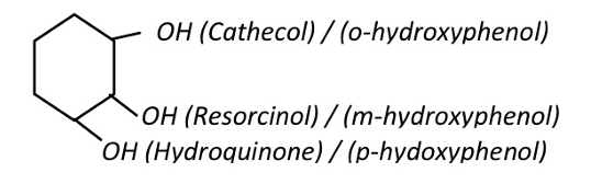 <p>[PHENOL AND ITS DERIVATIVES]</p><p>a. Phenol </p><p>b. Cresol </p><p>c. Thymol </p><p>d. Eugenol</p><p>e. Resorcinol</p>