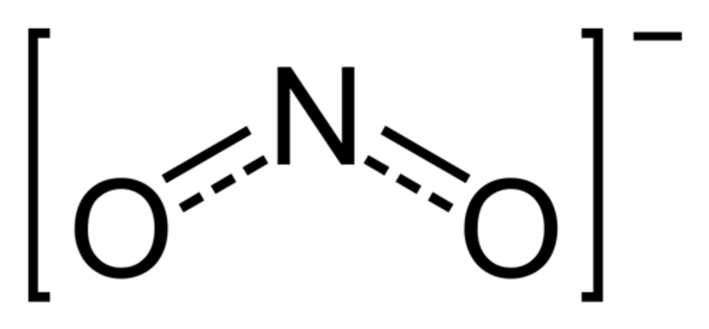 <p>NO₂⁻</p>