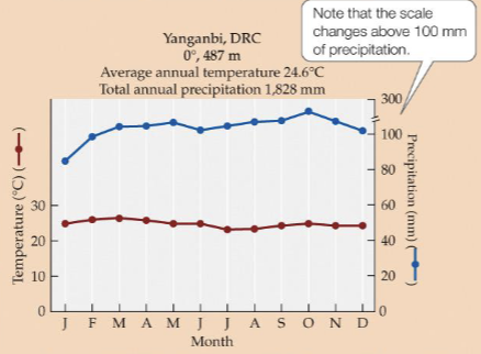 <p>high temperature and precipitation biome found between 0-10 degrees, generally absent seasonality, dominated by broad-leaved evergreen and deciduous trees in the canopy and shrubs/forbs on the forest floor</p>