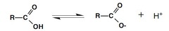 <p>a chemical group consisting of a single carbon atom double-bonded to an oxygen atom and also bonded to a negatively charged oxygen</p>