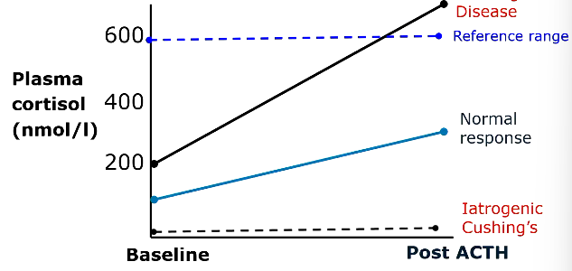 <p>no endogenous cortisol is produced.</p>