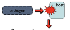 <p>sense damage or alterations to host physiology induced by pathogens</p>