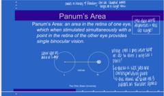 <p>______ allows us to see all 3 dots on Randot stereo test</p>