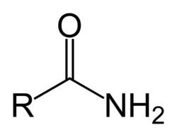 <ul><li><p>carbonyl group bonded to an amino group</p></li><li><p>linkage of amino acids through amide formation are called peptides</p></li></ul><p></p>