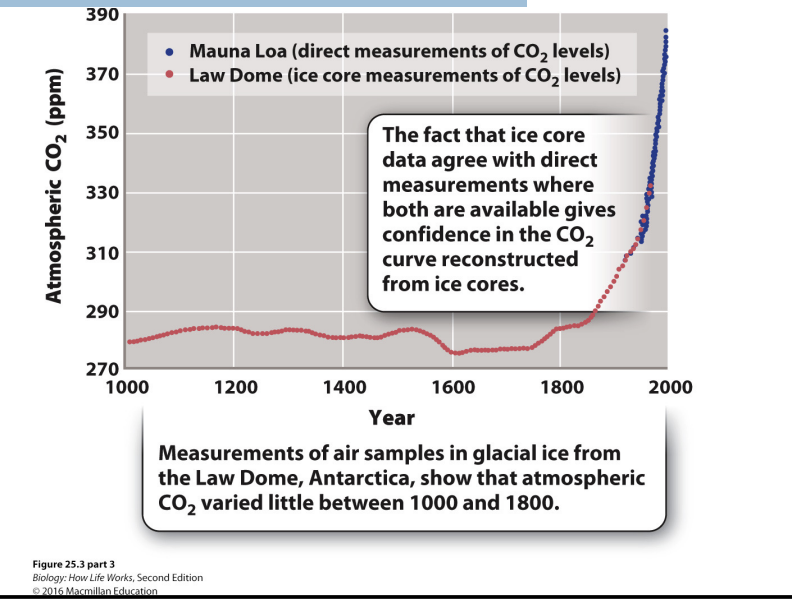<ul><li><p><span style="background-color: inherit; line-height: 19.55px; color: windowtext;">Co2 levels change over time</span><span style="line-height: 19.55px; color: windowtext;">&nbsp;</span></p></li><li><p>Glacial ice as it forms → traps air bubble →  ice can last for thousands of years → examine ice cores to find out what the atmosphere was like in the past.</p><ul><li><p class="Paragraph SCXO182455815 BCX0" style="text-align: left;"><span style="background-color: inherit; line-height: 19.55px; color: windowtext;">High: greenhouse conditions</span><span style="line-height: 19.55px; color: windowtext;">&nbsp;</span></p></li><li><p class="Paragraph SCXO182455815 BCX0" style="text-align: left;"><span style="background-color: inherit; line-height: 19.55px; color: windowtext;">Low: ice house (where we are)</span><span style="line-height: 19.55px; color: windowtext;">&nbsp;</span></p><ul><li><p class="Paragraph SCXO182455815 BCX0" style="text-align: left;"><span style="background-color: inherit; line-height: 19.55px; color: windowtext;">Holes that are frozen -> dig in ice caps (ice forms anually and layers) -> look for air pockets -> graph</span><span style="line-height: 19.55px; color: windowtext;">&nbsp;</span></p></li></ul></li></ul></li><li><p class="Paragraph SCXO182455815 BCX0" style="text-align: left;"><span style="background-color: inherit; line-height: 19.55px; color: windowtext;">Graph</span><span style="line-height: 19.55px; color: windowtext;">&nbsp;</span></p><ul><li><p class="Paragraph SCXO182455815 BCX0" style="text-align: left;"><span style="background-color: inherit; line-height: 19.55px; color: windowtext;">Large increase from 1950</span><span style="line-height: 19.55px; color: windowtext;">&nbsp;</span></p></li><li><p class="Paragraph SCXO182455815 BCX0" style="text-align: left;"><span style="background-color: inherit; line-height: 19.55px; color: windowtext;">Something changes 1700s-1900s: humans started using fossil fuels</span><span style="line-height: 19.55px; color: windowtext;">&nbsp;</span></p></li></ul></li></ul><p></p>