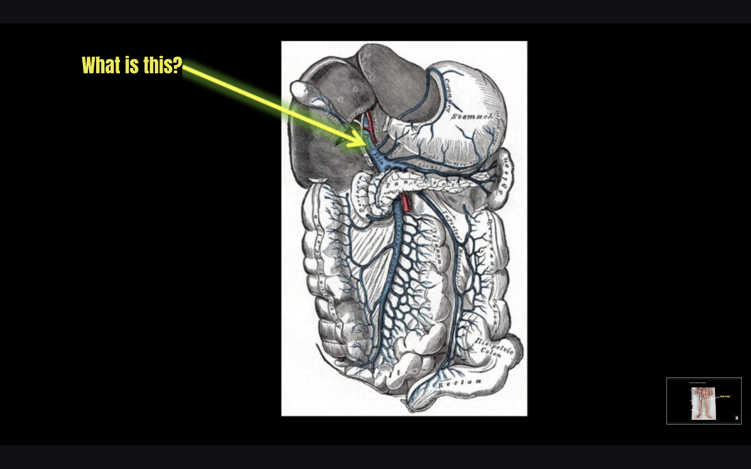 term image