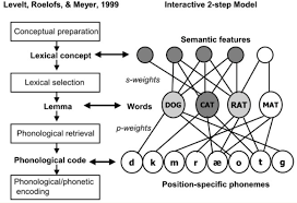 <p>In the Levelt model, the linguistic label of a concept that is activated and competes against others during lexical selection.</p>