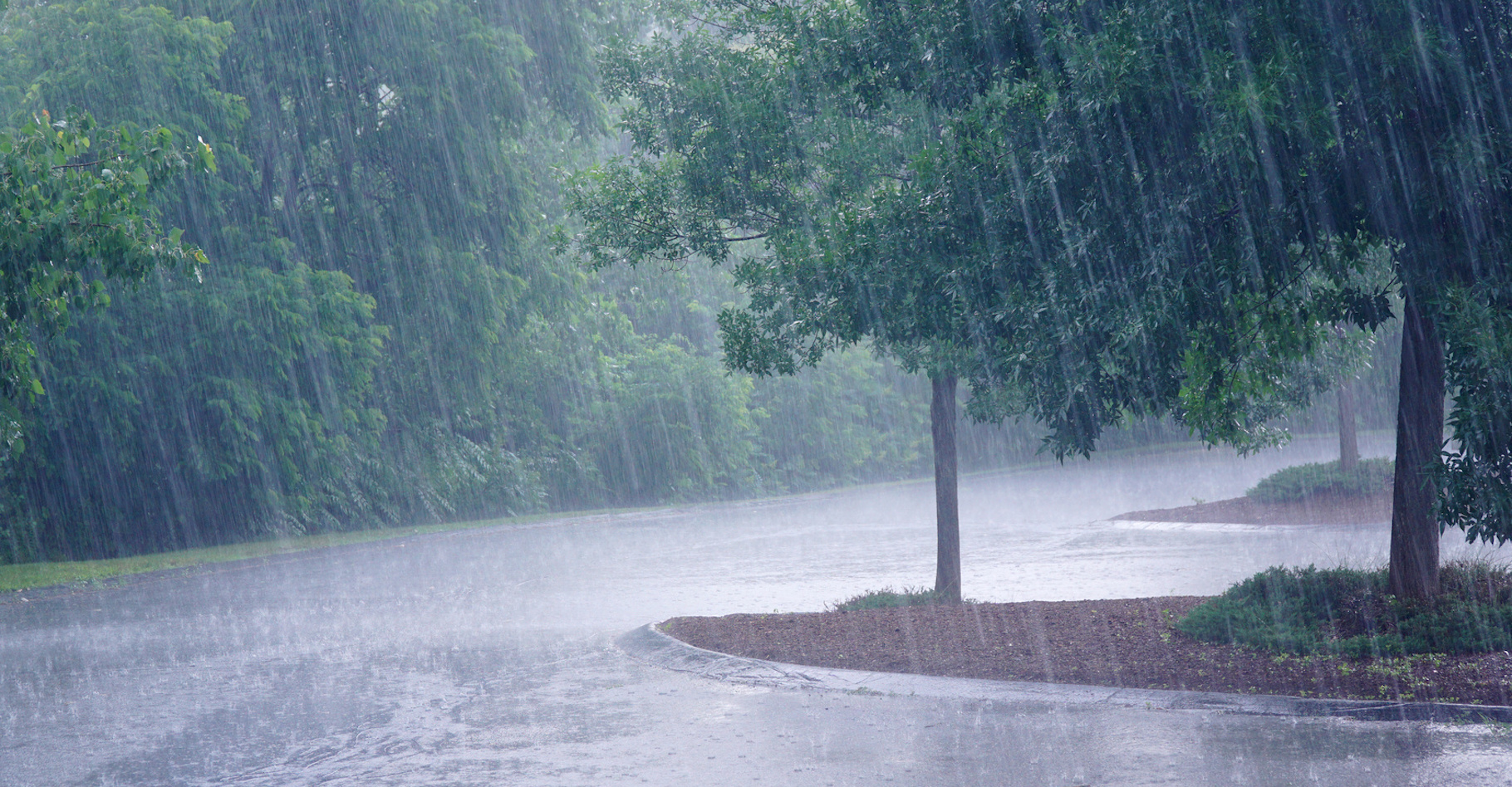 <p>rain</p>