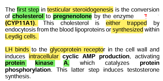 <p><strong><u>Hormonogenesis</u></strong></p>