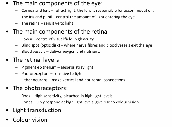 <p>• The main components of the eye </p><p>• The main components of the retina </p><p>• The retinal layers </p><p>• The photoreceptors </p><p>• Light transduction </p><p>• Colour vision</p>
