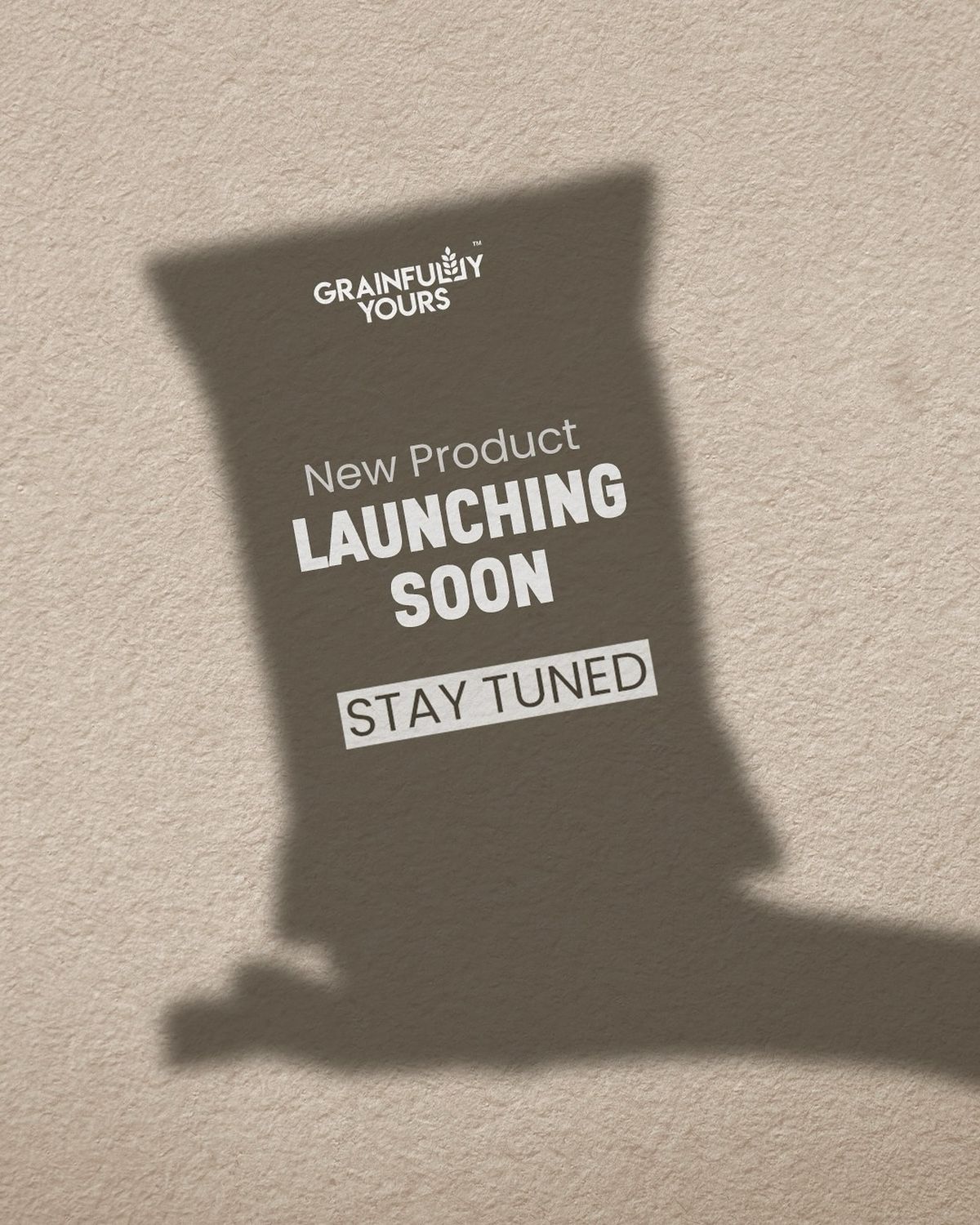 <p>Launch (verb) (a product, an advertising campaign, an investigation)</p>