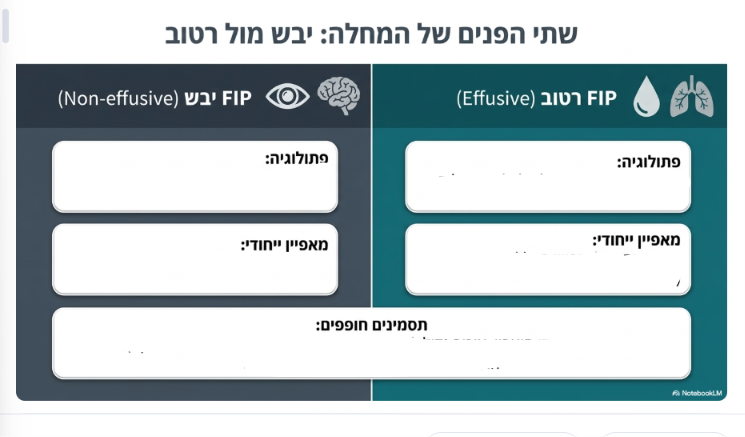 <p>יבש מול רטוב</p>
