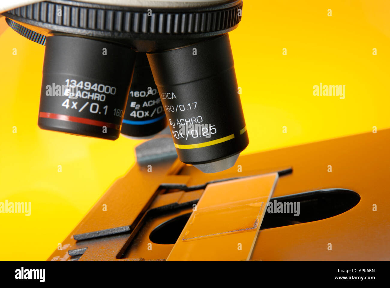 <p>objective lens yellow</p>