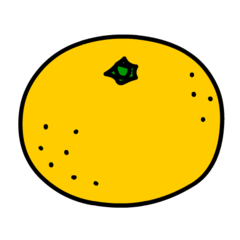 <p>mandarin orange 🍊蜜柑</p>