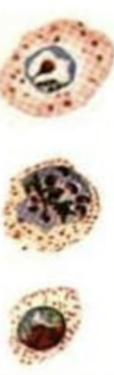 <p>What are these examples of?</p>