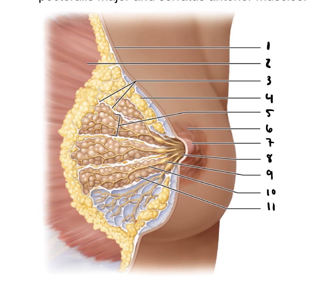 <p>3 </p>