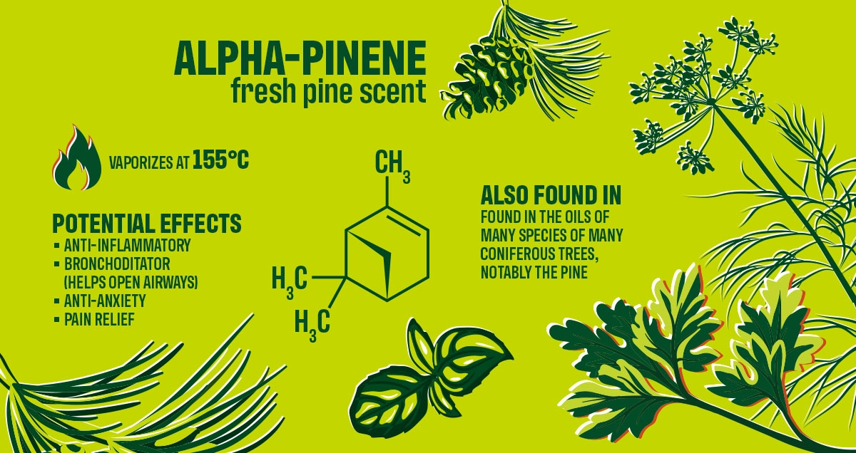 <p>Pinene (terpene)</p>