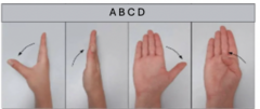 <p>What motion is being shown at A?</p>