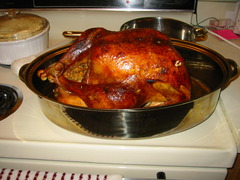 <p>el pavo</p>