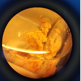 term image