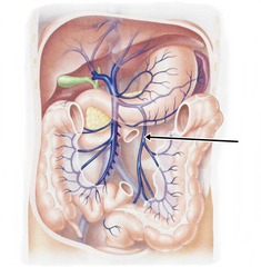 <p>Identify the structure</p>