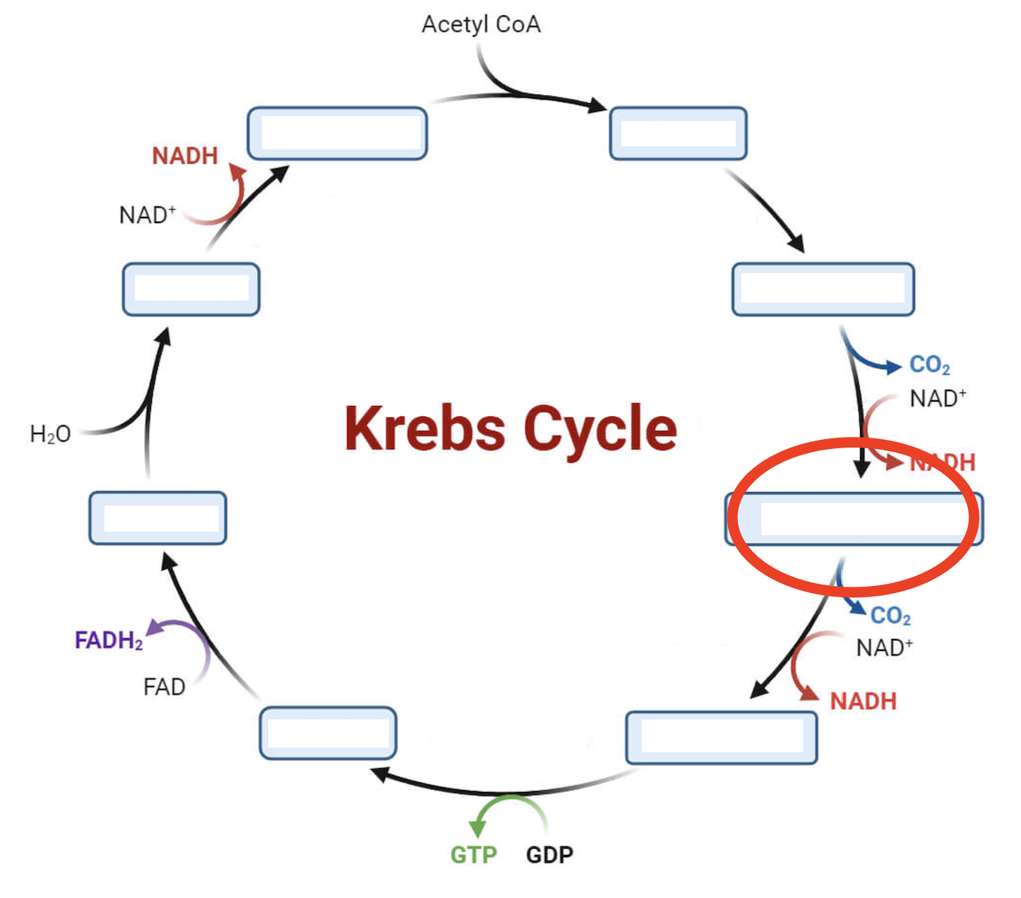 <p>Intermediate 3</p>