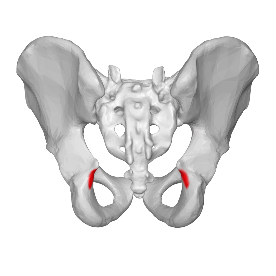 <p>structure</p>