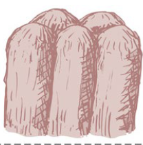 <p>Identify the structure</p>