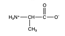 <p>non-polar aliphatic</p>