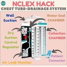 <p>What should nurses look for in the water part of the drainage chamber? What does this indicate?</p>