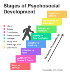 <p>Integrity vs. Despair</p><p>Generativity vs. Stagnation</p><p>Intimacy vs. Isolation (adulthood)</p><p>Identity vs. Role-Confusion (adolescence)</p><p>Industry vs. Inferiority (elementary years)</p><p>Initiative vs. Guilt (preschool years)</p><p>Autonomy vs. Shame / Doubt (toddlerhood)</p><p>Trust vs. Mistrust (infancy)</p>