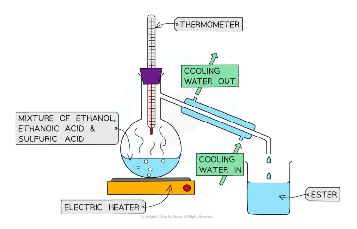 <p>Why are esters the first to evaporate from the reaction mixture of ethanoic acid, ethanol and concentrated sulfuric acid which is heated gently?</p>