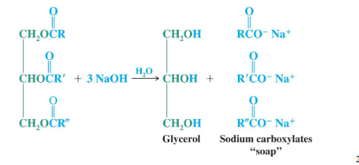 <p>door saponificatie= alkalische hydrolyse van triglyceriden (reactie met een base om een zout te vormen)</p><p>dit is een irreversibele reactie want men dissocieert het vetzuur</p>
