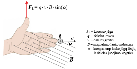<ul><li><p>statmena magnetinio lauko jėgų linijoms ir dalelių greičio krypčiai</p></li><li><p>lygi dalelės elektrinio krūvio, greičio ir magnetinio lauko indukcijos vektorinei sandaugai</p></li></ul><p></p>