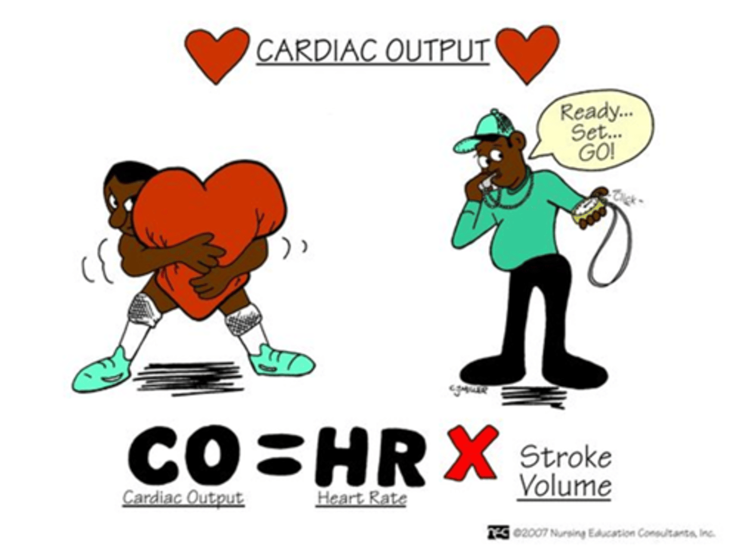 <p>C) CO = HR x SV (Stroke Volume)</p>
