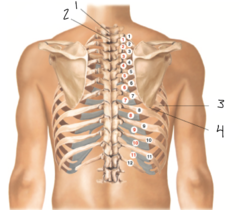 <p>1</p>