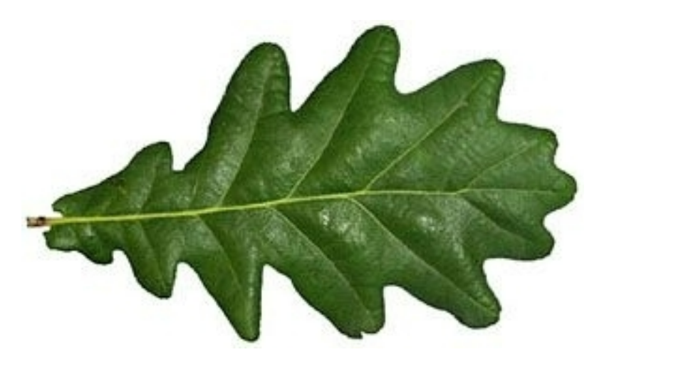 <p></p>
