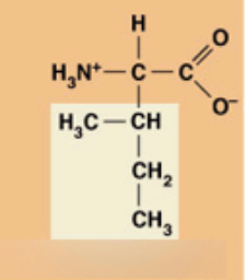 <p>Hydrophobic</p>